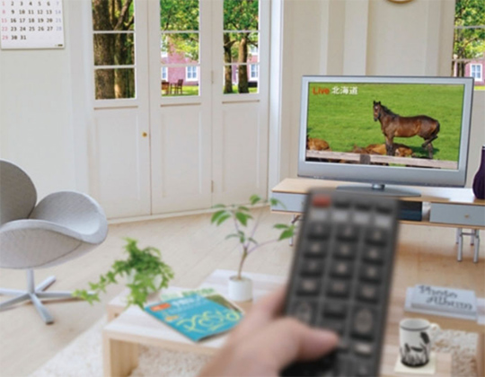 単焦点眼内レンズの見え方